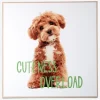 Billede puppy - Cuteness overload
