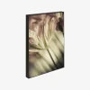 Klods Sence Of A Tulip 15x21 cm