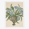 Plakat Blue Tulips