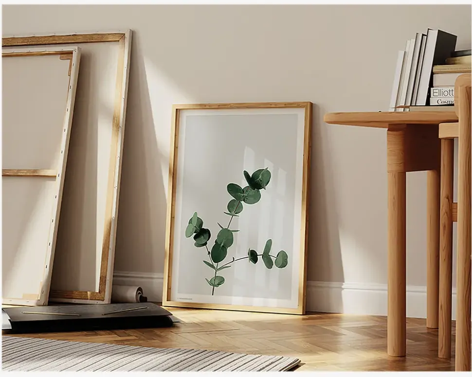 Plakat Eucalyptus