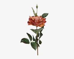 Rose stilk ass 10x10x59 cm