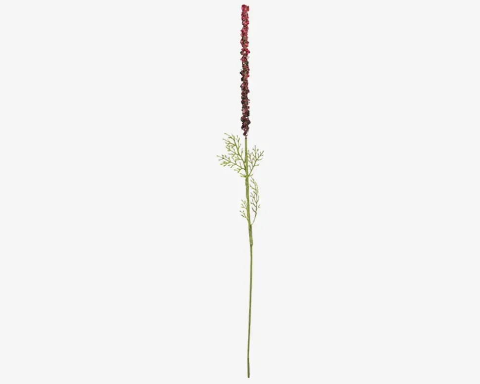 Stilk Ambrosia Grøn/Rød H.50cm