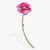 Stilk Pæon Pink H.71 cm