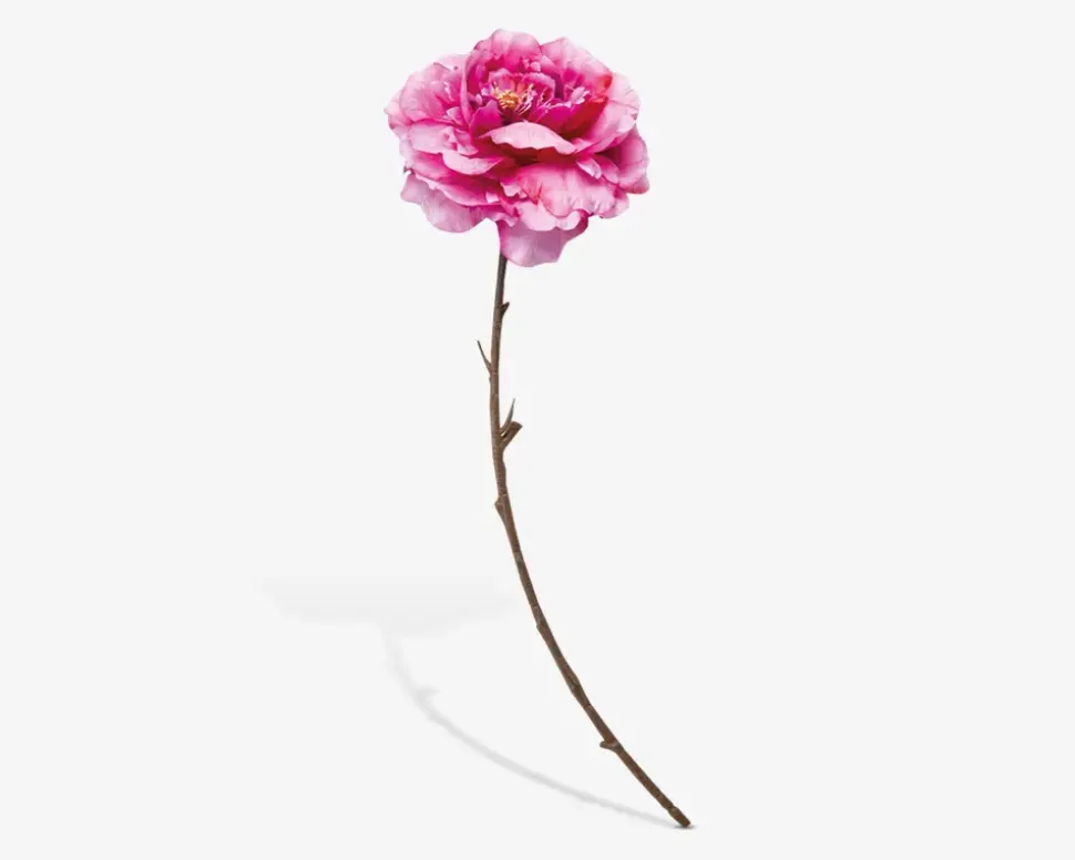Stilk Pæon Pink H.71 cm