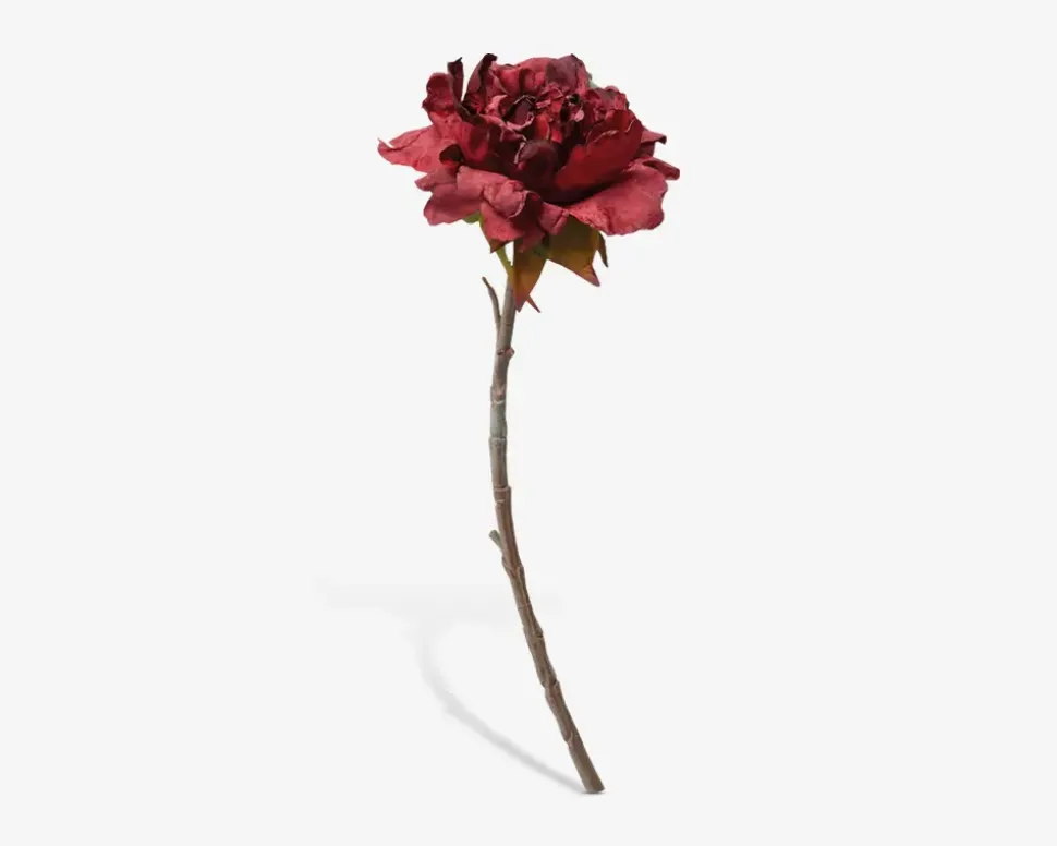 Stilk Pæon Rød H.40 cm